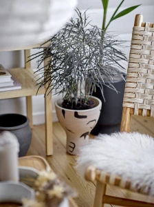 207b9b4f22e0c50c58f3c29993cdf15a