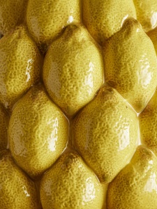 5c5e074fd25b236dfb0d2501718d2b92