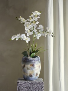 5881b71f6787440aece383b5a439f67f